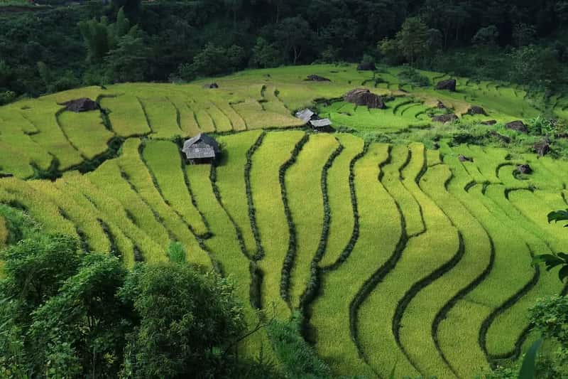 Vietnam: The Undisputed Affordability Leader (Image Credits: Pixabay)