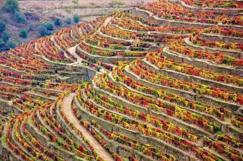 Portugal: The Underdog Facing Adversity (Image Credits: Pixabay)