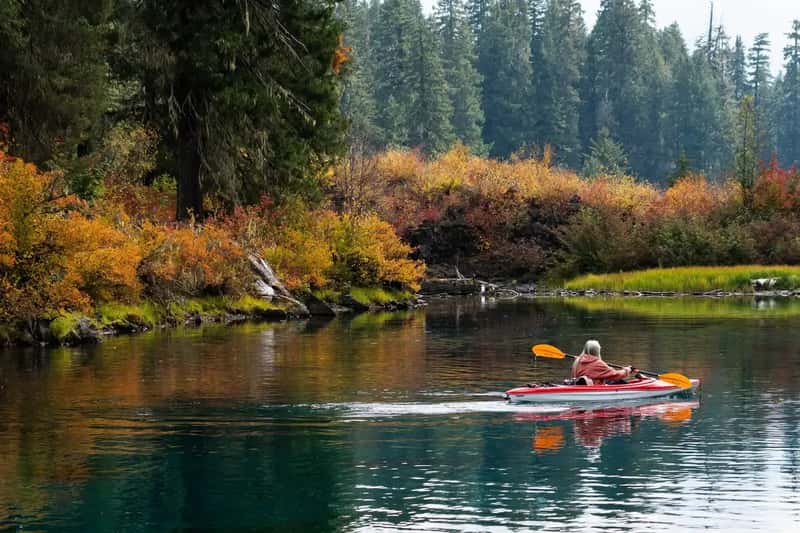 #5 - Clear Lake, Oregon: A 3,000-Year-Old Underwater Forest Standing Perfectly Intact (Image Credits: Shutterstock)