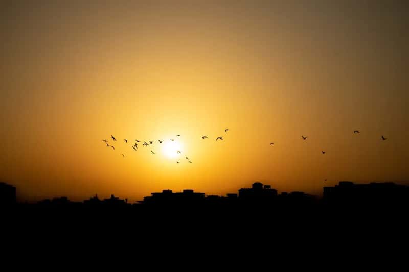 #5 - Early Morning Flights Are the Real Insider Move (Image Credits: Unsplash)