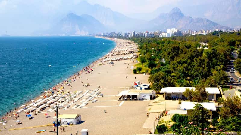 7. Turkey (Image Credits: Pixabay)