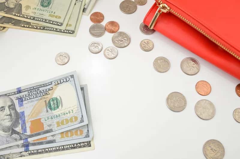 The dollar makes budgeting simple (Image Credits: Pexels)