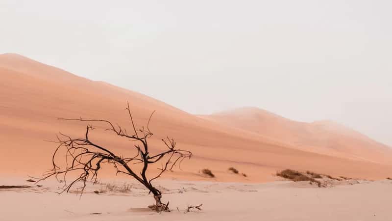 4. Namibia (Image Credits: Unsplash)