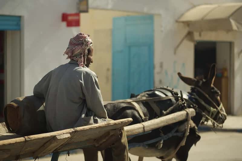 7. Tunisia (Image Credits: Pixabay)