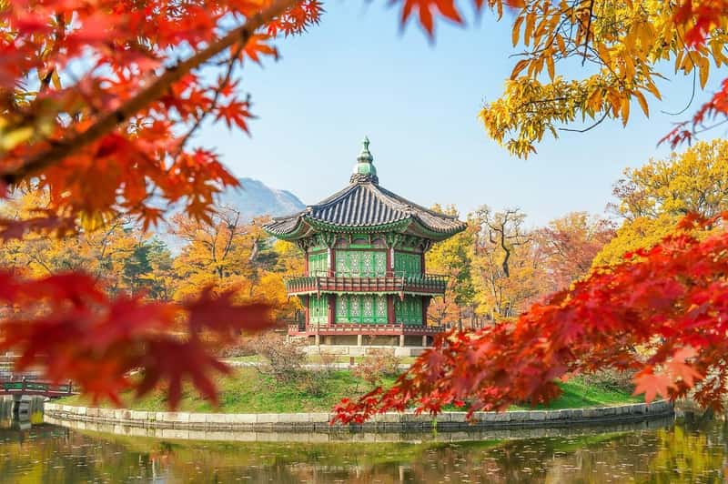 The Tourism and Celebrity Magnet Effect (Image Credits: Pixabay)