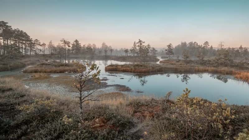 4. Estonia (Image Credits: Pexels)