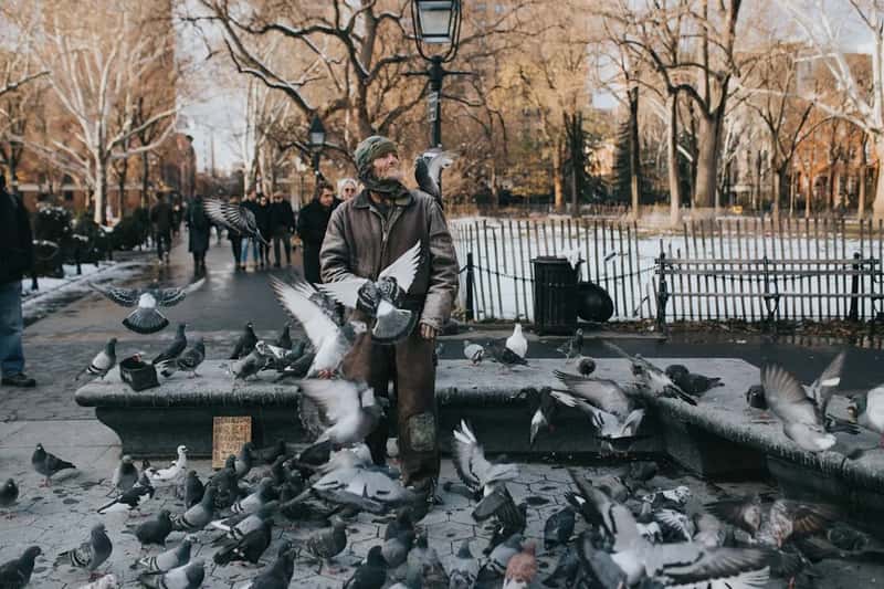 Feeding pigeons, squirrels, or rats in parks (Image Credits: Unsplash)