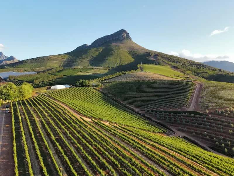 South Africa: The Premiumization Play (Image Credits: Unsplash)