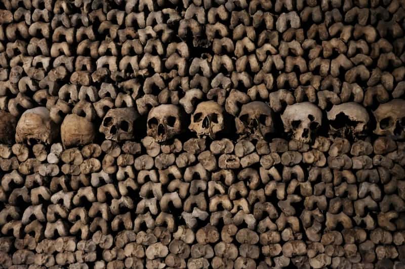 4. Paris Catacombs, France (Image Credits: Unsplash)