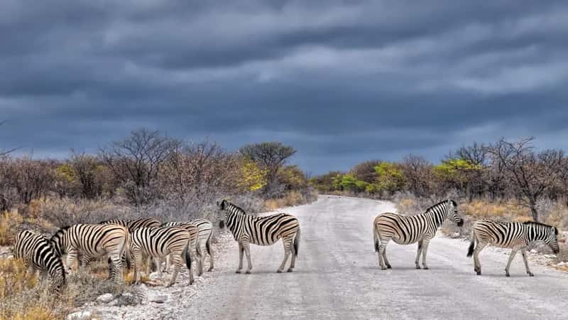 Namibia (Image Credits: Unsplash)