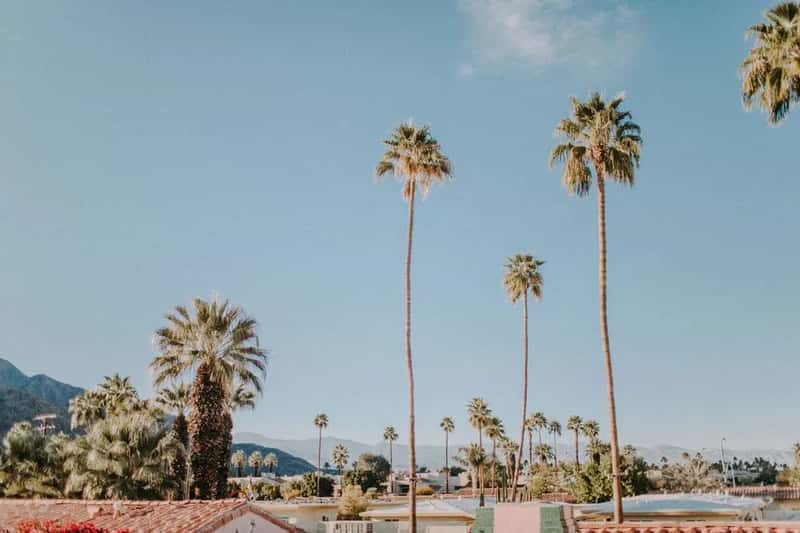 Palm Springs, California (Image Credits: Pexels)