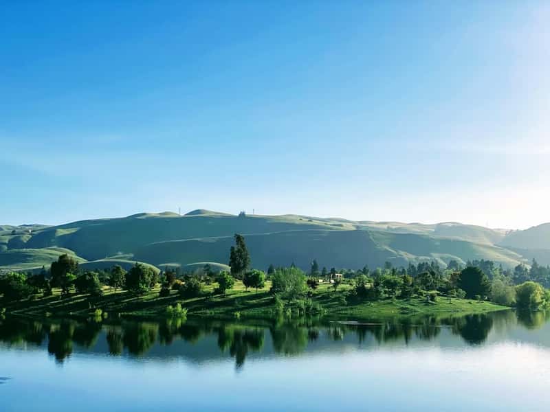 Fremont, California: the quiet standout (Image Credits: Unsplash)