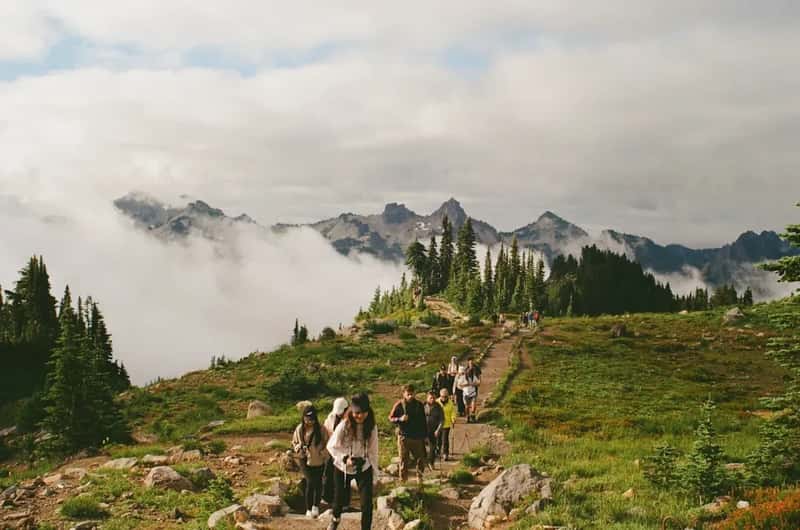The Hiking Trails Have Become Dangerous Obstacle Courses (Image Credits: Unsplash)