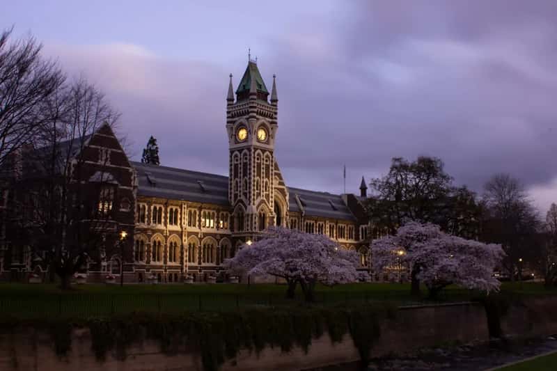 New Zealand: Smaller country, sizable tuition range (Image Credits: Unsplash)