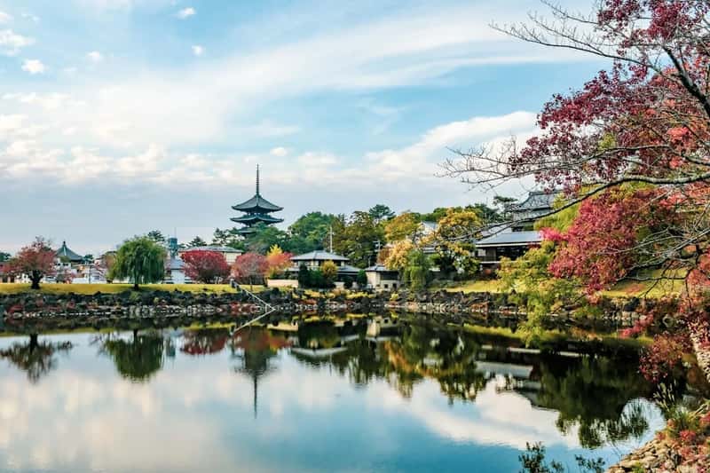 Nara, Japan (Image Credits: Unsplash)