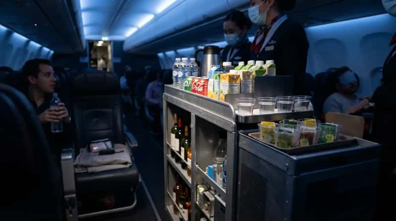 #12 - They Treat the Drink Cart Like a Trap, Not a Treat (Image Credits: Gemini)