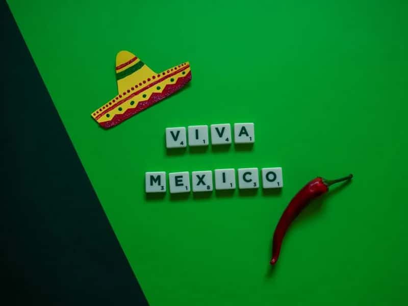 6. That English will get you through most interactions (Image Credits: Pexels)