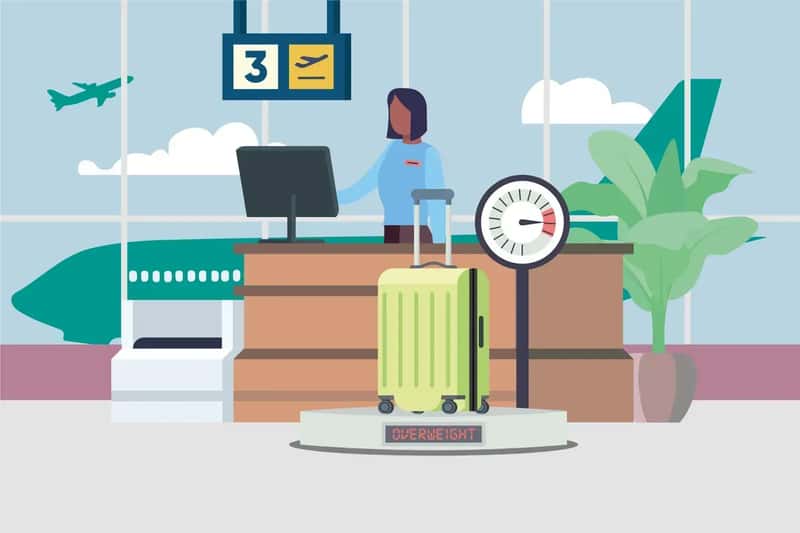 5. Pre-Pay for Bags Online Instead of at the Airport (Image Credits: Wikimedia)