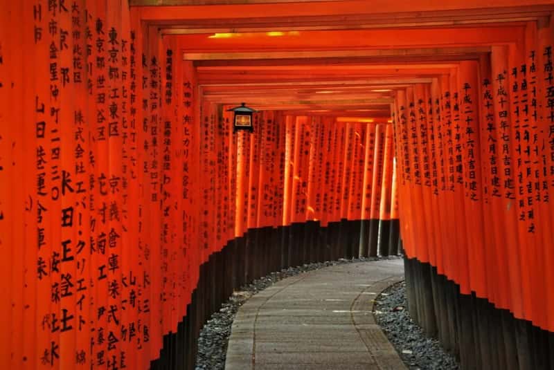 Fushimi Inari and Arashiyama at Peak Hours (Image Credits: Unsplash)