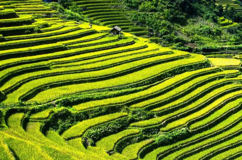 Southeast Asia's Enduring Export Engine (Image Credits: Pixabay)