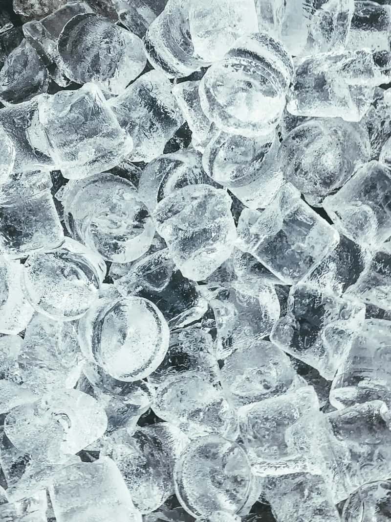 3. Request ice bucket refills from the very first hour (Image Credits: Unsplash)