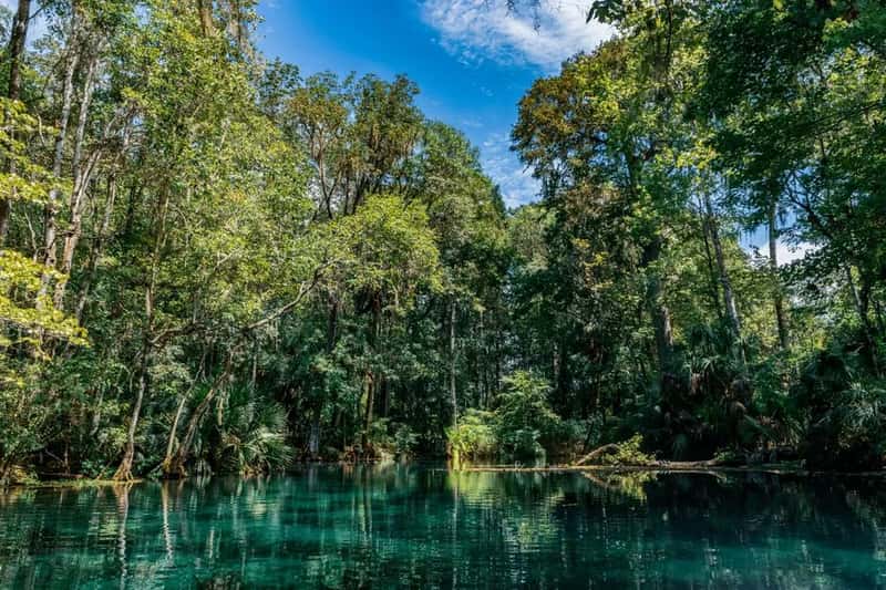 Blue Spring State Park, a quiet manatee refuge near DeLand (Image Credits: Pexels)