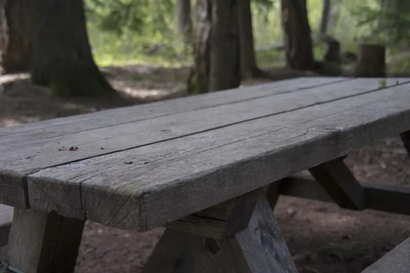 #17: Lunch Was a Roadside Picnic From a Packed Basket (Image Credits: Pixabay)