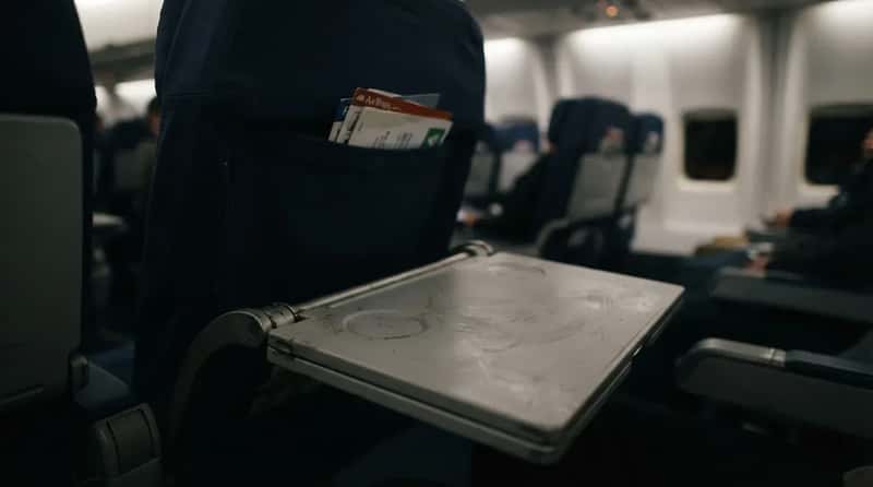 8. They Know Which Surface on the Plane Is Actually the Dirtiest (Image Credits: Gemini)