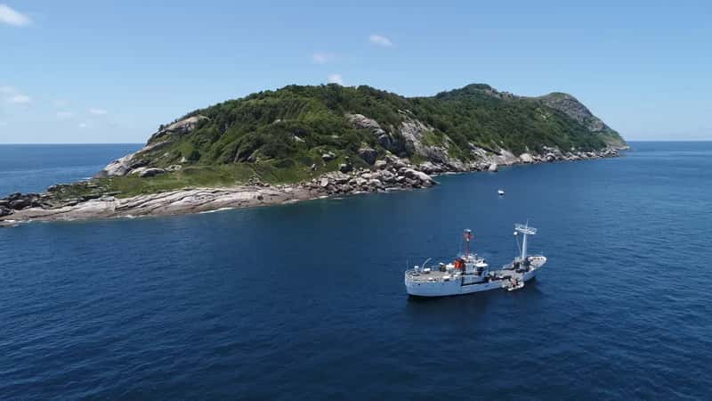 Ilha da Queimada Grande (Snake Island), Brazil (Image Credits: Wikimedia)