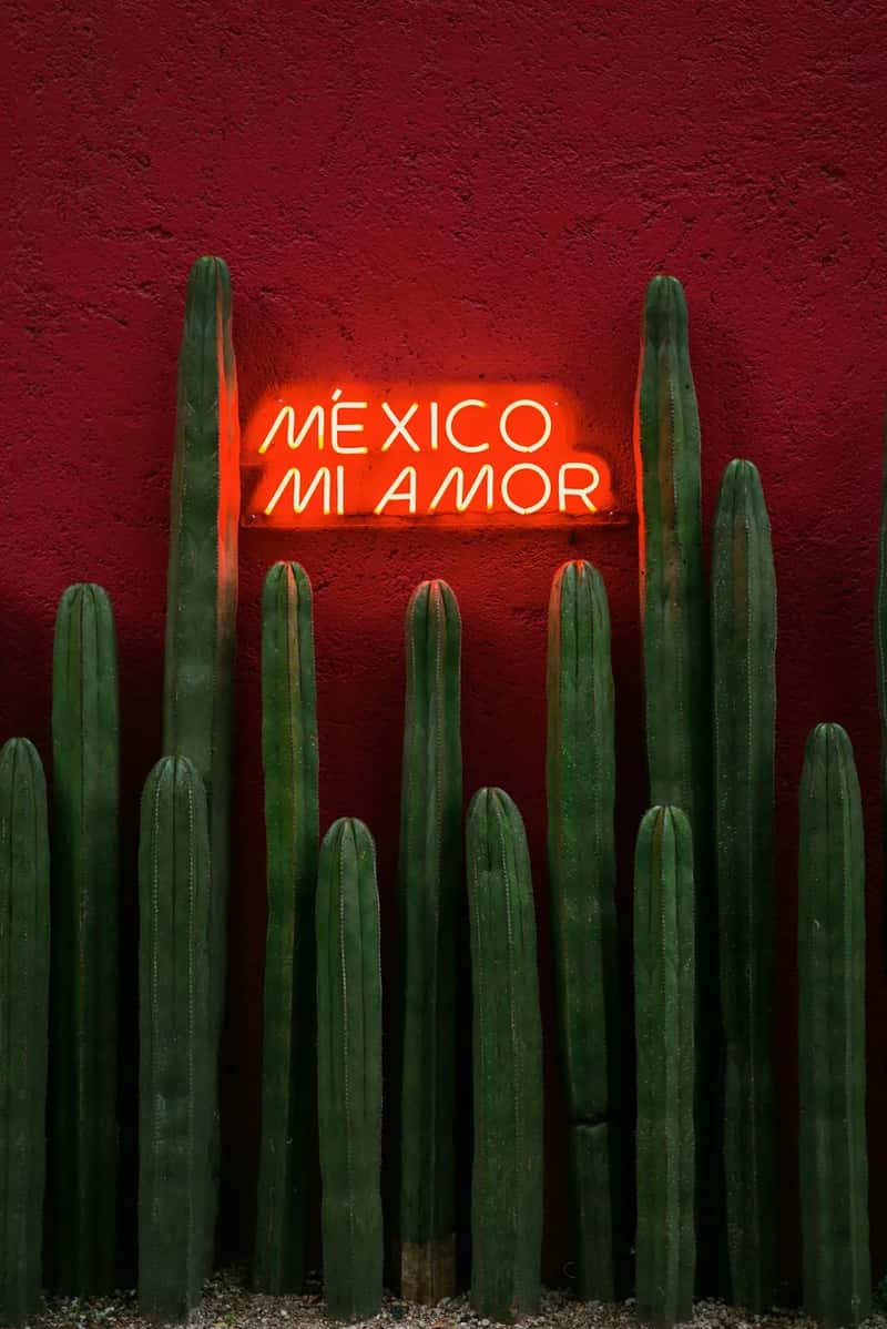 5. Álamos, Sonora (Image Credits: Unsplash)