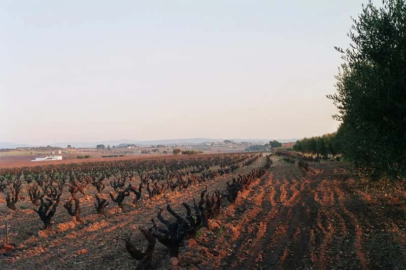 6. Penedès, Catalonia, Spain (By Arria Belli, CC BY 2.5)
