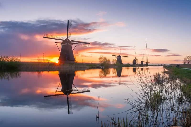 Netherlands: Tulips, Windmills, and Work-Life Balance (Image Credits: Wikimedia)