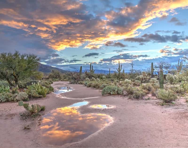 5. Tucson, Arizona (Image Credits: Unsplash)