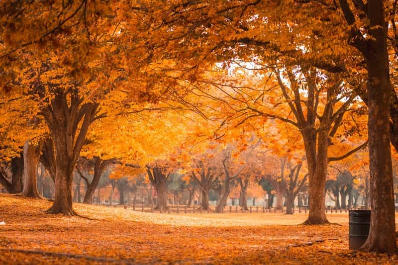 Why November gets skipped in the first place (Image Credits: Unsplash)