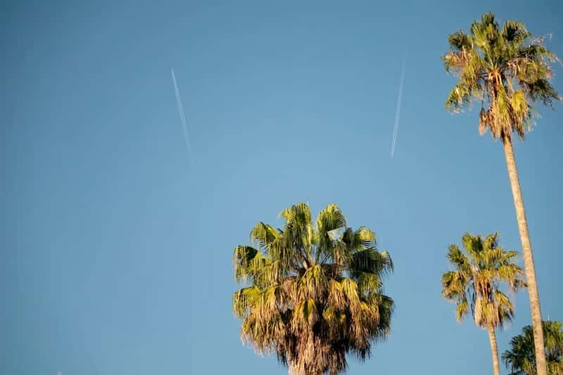 The Urban Landscape That Makes L.A. a Perfect Breeding Ground (Image Credits: Unsplash)