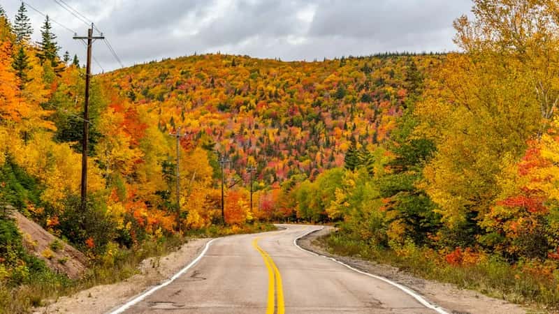 The Cabot Trail, Cape Breton, Nova Scotia (Image Credits: Unsplash)