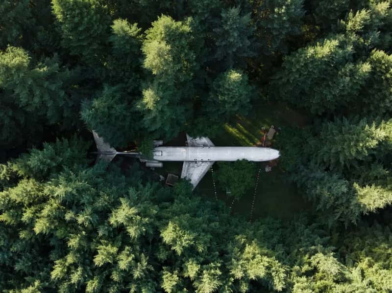 6. News coverage of aviation incidents (Image Credits: Unsplash)