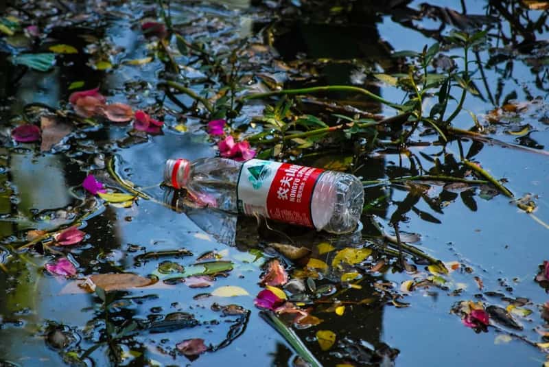 Sewage, lake levels, and environmental strain (Image Credits: Unsplash)