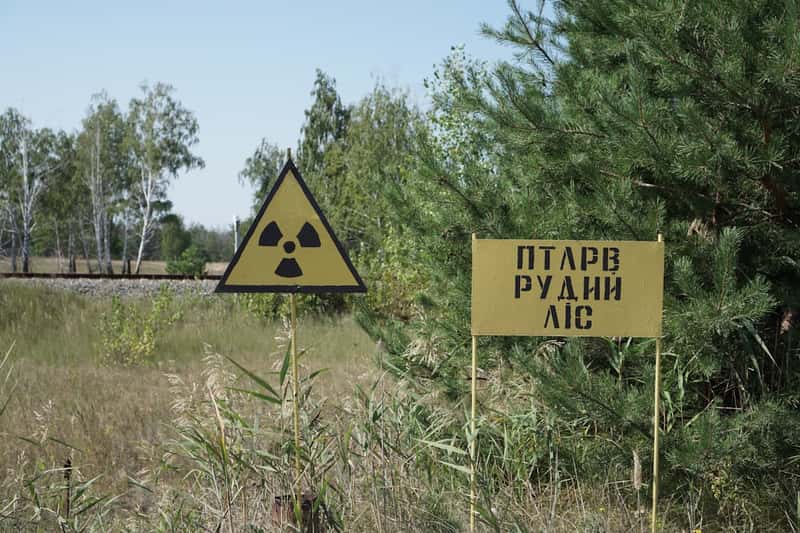 Natural Radioactive Decay Creates Unexpected Recovery (Image Credits: Unsplash)