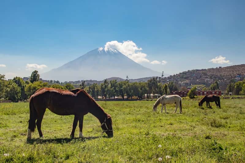 Final thoughts (Peaceful scenery with volcano Misti in the background., CC BY 2.0)