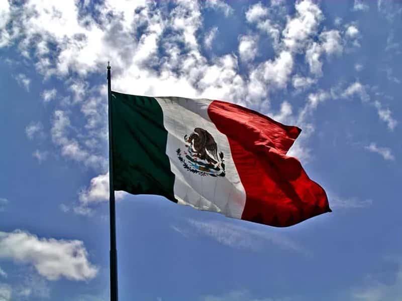 The Spark: El Mencho Is Dead (Image Credits: Flickr)