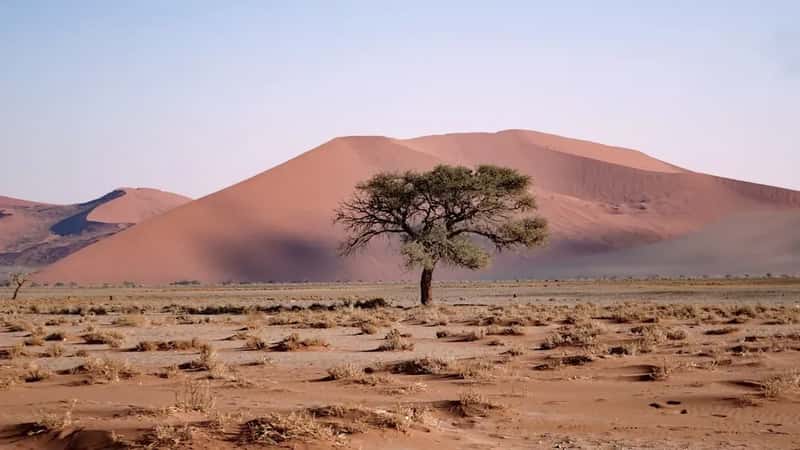 Namibia: Desolate Beauty In Earth's Ancient Desert (Image Credits: Unsplash)