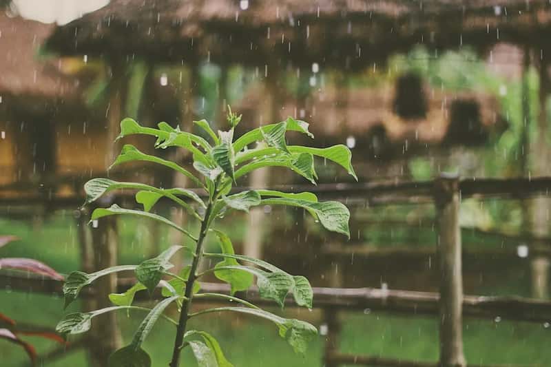 Weather at your destination matters more than weather at home (Image Credits: Unsplash)