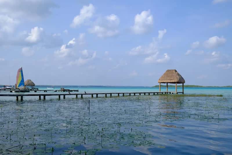 1. No sargassum problem at all (Image Credits: Unsplash)