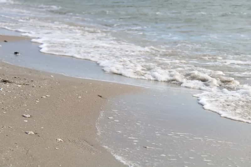 Corpus Christi, Texas – Sparkling City by the Sea (Image Credits: Unsplash)