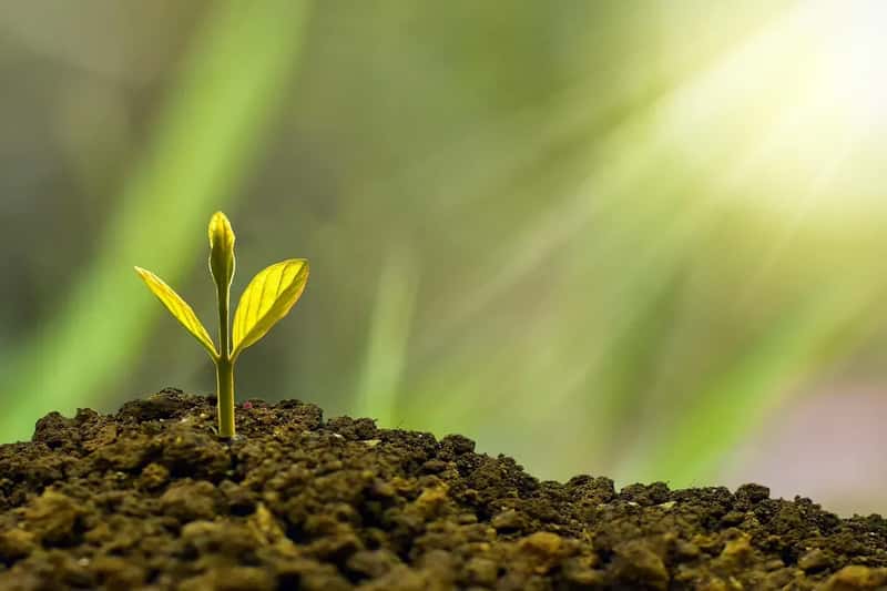 Following Costa Rica's Sustainability Model (Image Credits: Pixabay)