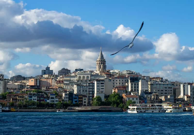 3. Turkey (By SegLig, CC BY 4.0)