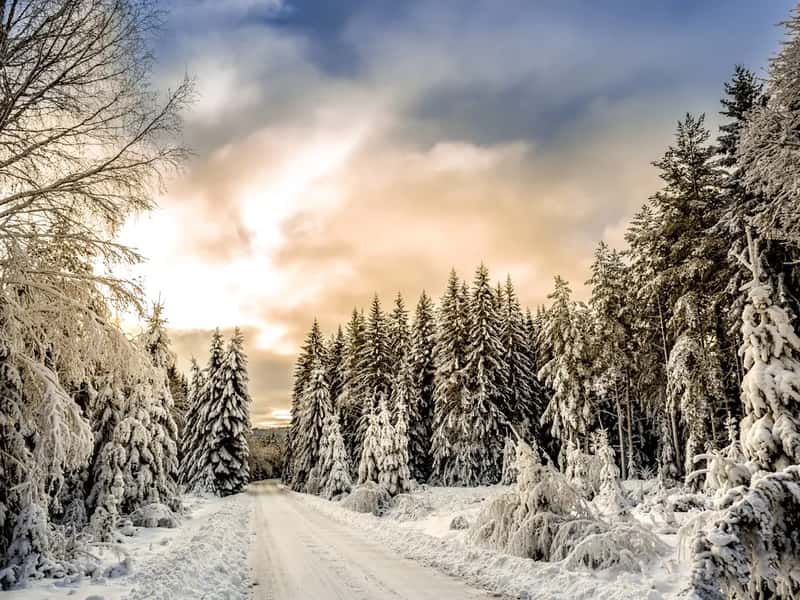Winter: the cheapest option, with real trade offs (Image Credits: Unsplash)