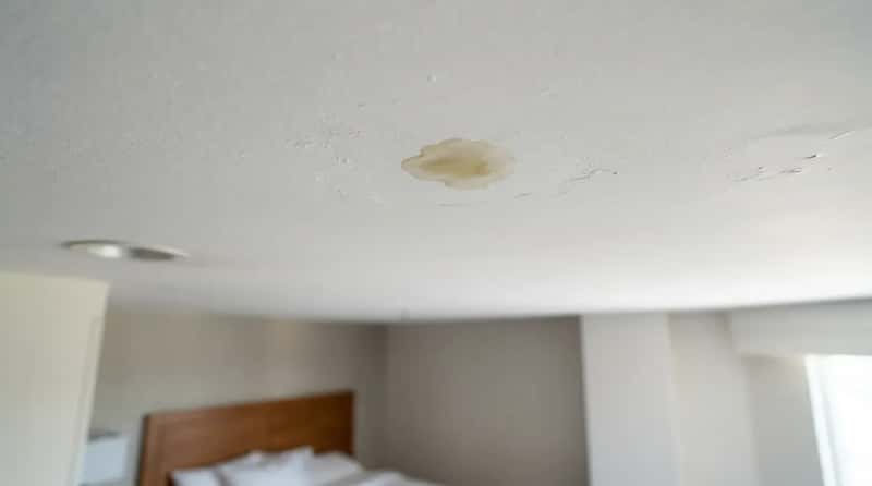 #6 - A Water Stain on the Ceiling the Size of a Coin (Image Credits: Gemini)