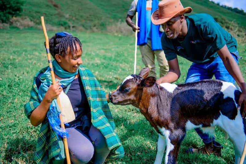 Kenya: friendliness that outranked every other country on earth (Image Credits: Pexels)
